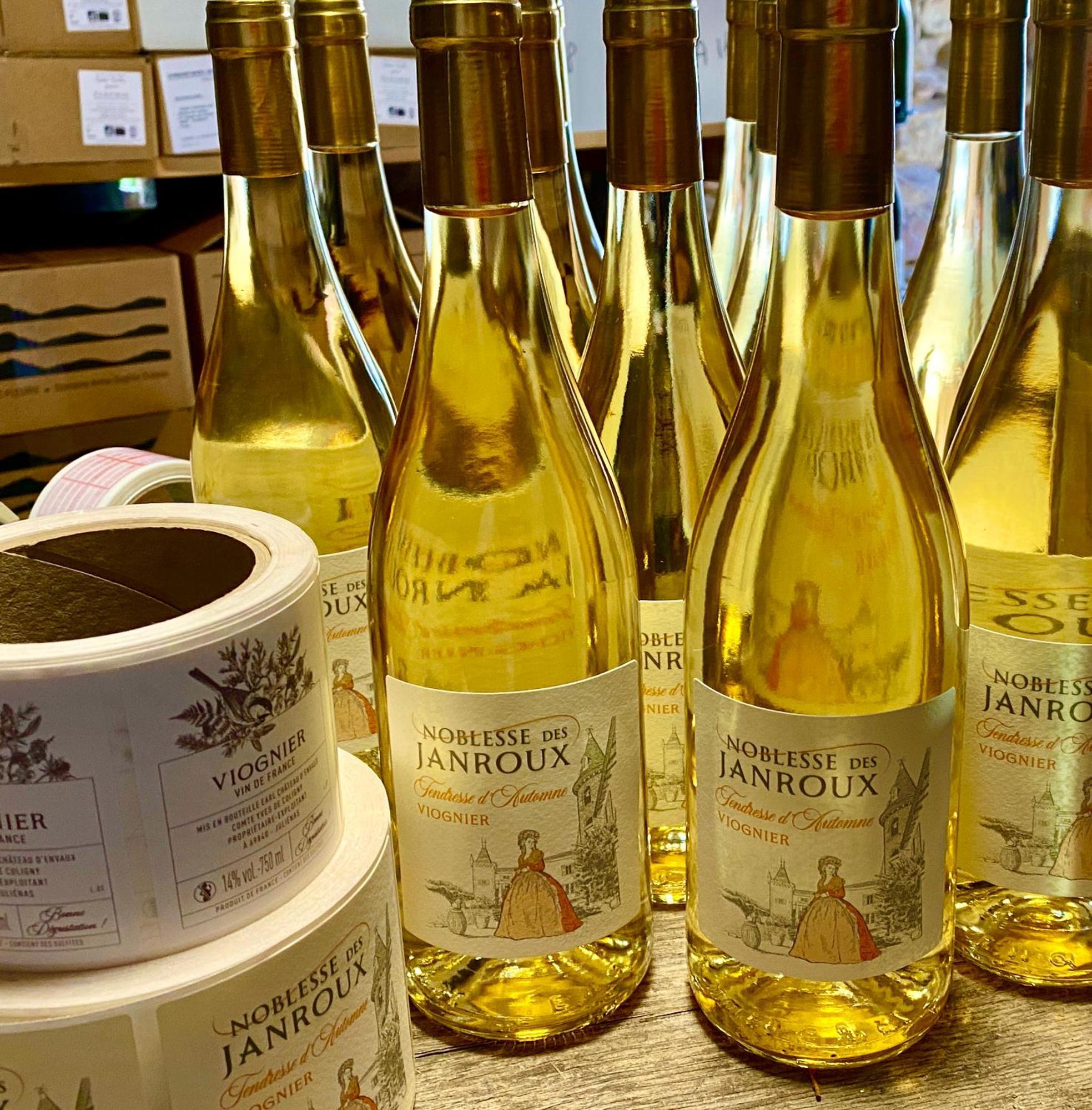 Chateau Des Janroux Juliénas Eksteriør billede
